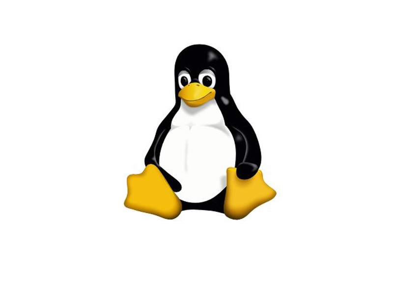 comandi base Linux