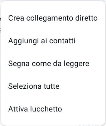 WhatsApp lucchetto